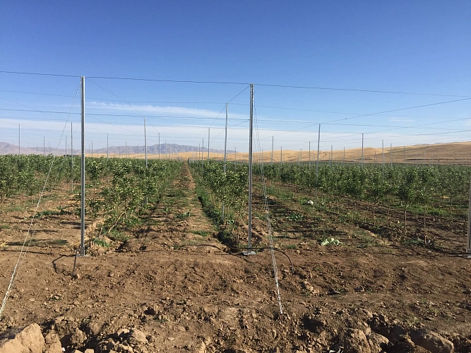 Профили сельхозназначения